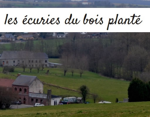 Logo Ecuries du bois planté